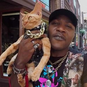 Fotoğraf Cat People