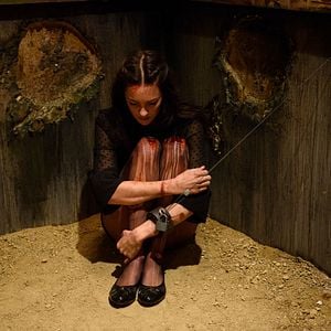 Fotoğraf Alexandra Evans