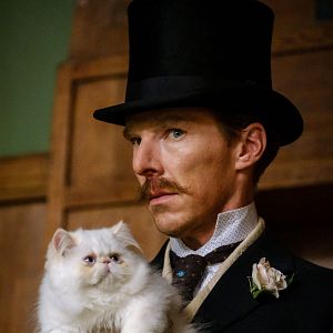 Fotoğraf Louis Wain'in Renkli Dünyası