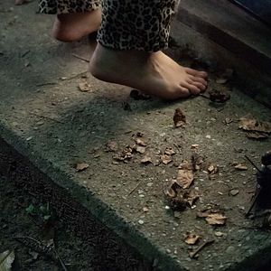 Fotoğraf The Chestnut Man