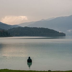 Fotoğraf Emilio Sakraya