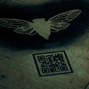 Fotoğraf Dark Web: Cicada 3301