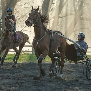 Fotoğraf Pio Marmaï
