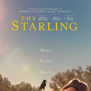 Fotoğraf The Starling