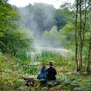 Fotoğraf Louis Wain'in Renkli Dünyası