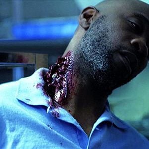 Fotoğraf Aquarium of the Dead