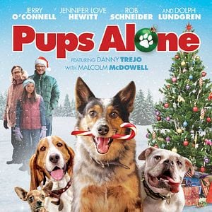 Fotoğraf Pups Alone