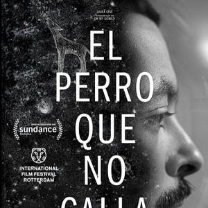 Fotoğraf El perro que no calla