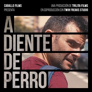 Fotoğraf A diente de perro