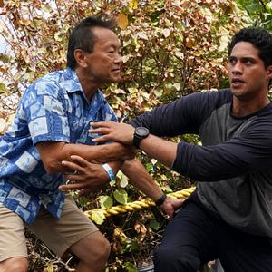 Fotoğraf Alex Tarrant