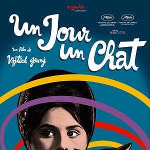 Fotoğraf Až přijde kocour