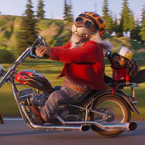 Fotoğraf Şarkını Söyle 2