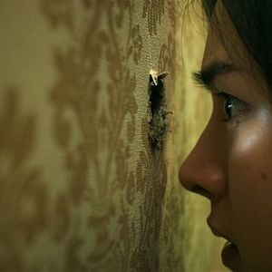 Fotoğraf The Whole Truth