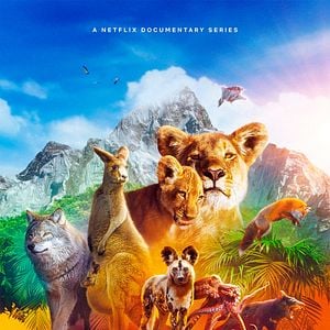 Fotoğraf Hayvanların Sırları