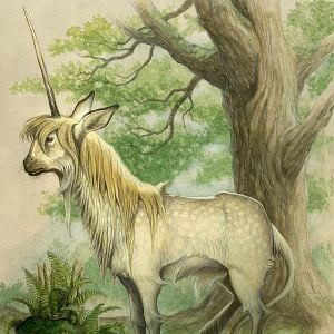 Fotoğraf The Spiderwick Chronicles