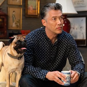 Fotoğraf Clifford Büyük Kırmızı Köpek