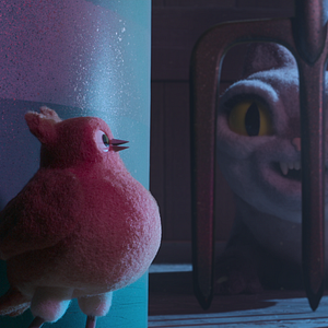 Fotoğraf Robin Robin