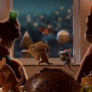 Fotoğraf Robin Robin