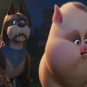 Fotoğraf DC Süper Evciller Takımı