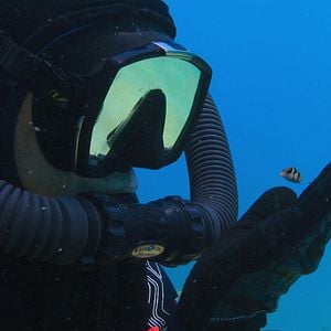 Fotoğraf Baloncuk: Resifin Mucizeleri