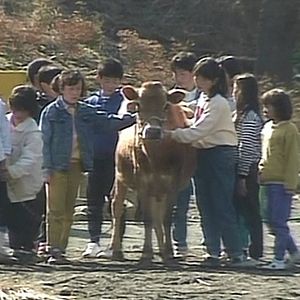 Fotoğraf Mou hitotsu no kyouiku - Ina shogakkou haru gumi no kiroku