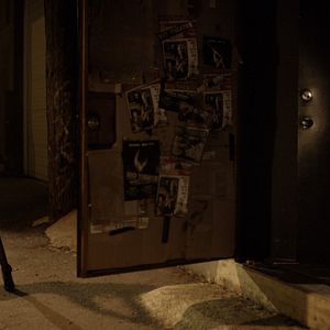 Fotoğraf American Badger