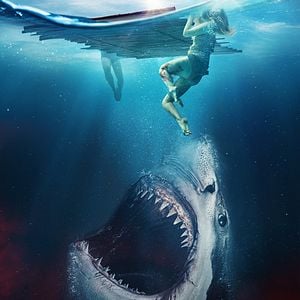 Fotoğraf The Requin