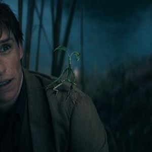 Fotoğraf Eddie Redmayne