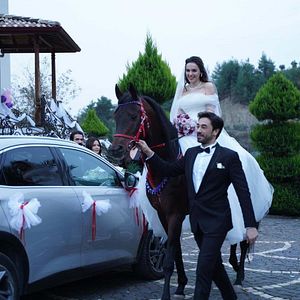 Fotoğraf Kalp Yarası