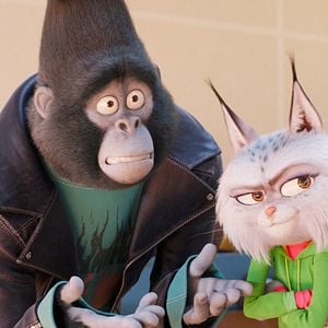 Fotoğraf Şarkını Söyle 2