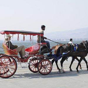 Fotoğraf Bir Gevrek, Bir Boyoz, İki de Kumru