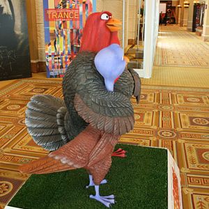 Fotoğraf Kahraman İkili