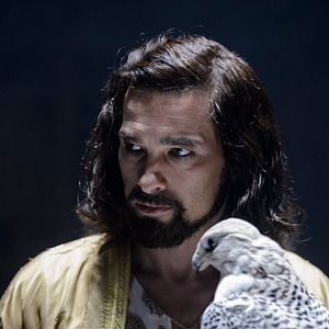 Fotoğraf İbni Sina: Hekim