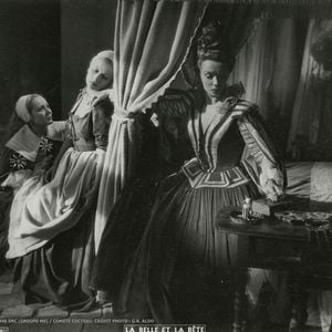 Fotoğraf Güzel ve Çirkin