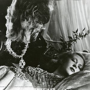 Fotoğraf Güzel ve Çirkin