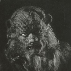 Fotoğraf Güzel ve Çirkin