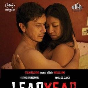 Fotoğraf Año bisiesto