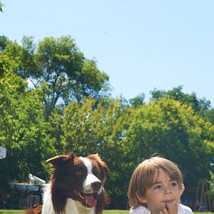 Fotoğraf Arkadaşım Max