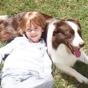 Fotoğraf Arkadaşım Max