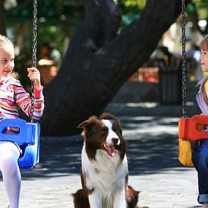 Fotoğraf Arkadaşım Max