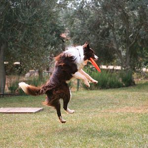 Fotoğraf Arkadaşım Max