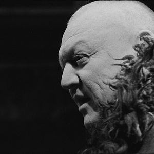 Fotoğraf A Torinói Ló