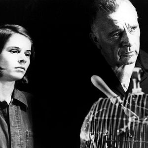 Fotoğraf Bin Dokuz Yüz Seksen Dört