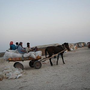 Fotoğraf Toprağa Uzanan Eller