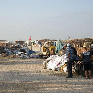 Fotoğraf Toprağa Uzanan Eller