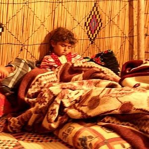 Fotoğraf Toprağa Uzanan Eller