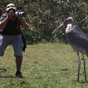 Fotoğraf Safari Macerası