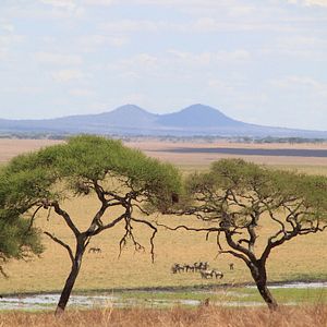 Fotoğraf Safari Macerası