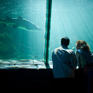 Fotoğraf Koş ve Zıpla