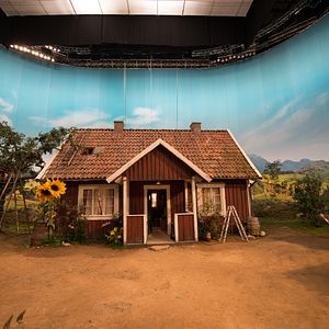 Fotoğraf Fırıldak Kedi Findus